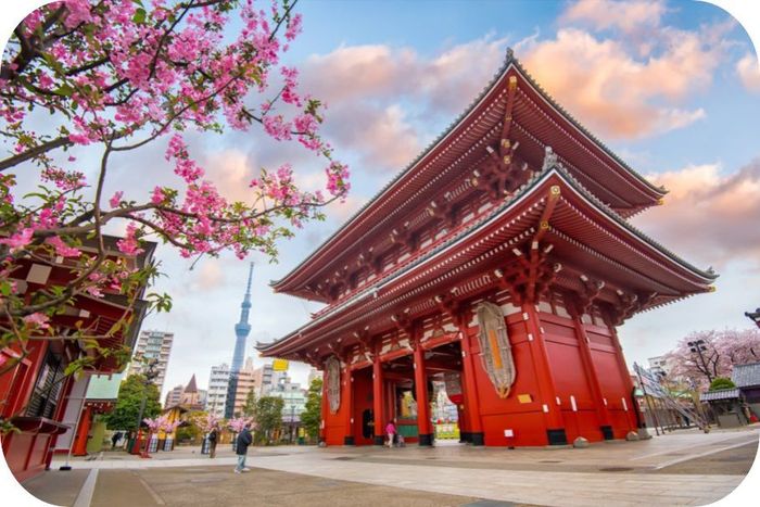 浅草寺.jpg