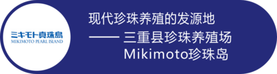 SK-II.png