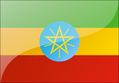 埃塞俄比亚-30天电子PE商务 [全国]